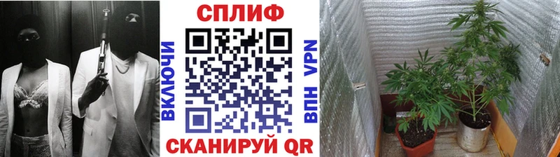 Купить Cocaine Каннабис Меф Гашиш Болхов