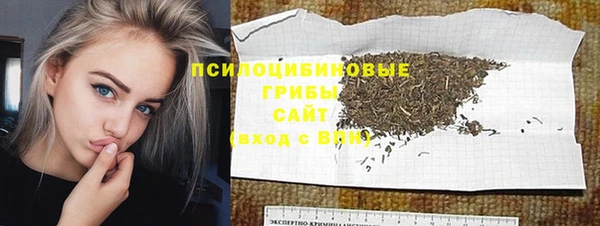 хмурый Горнозаводск