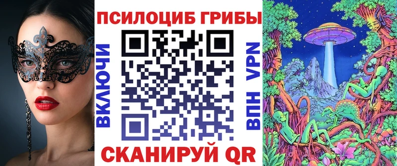 Купить  Болхов  Псилоцибиновые грибы мицелий 